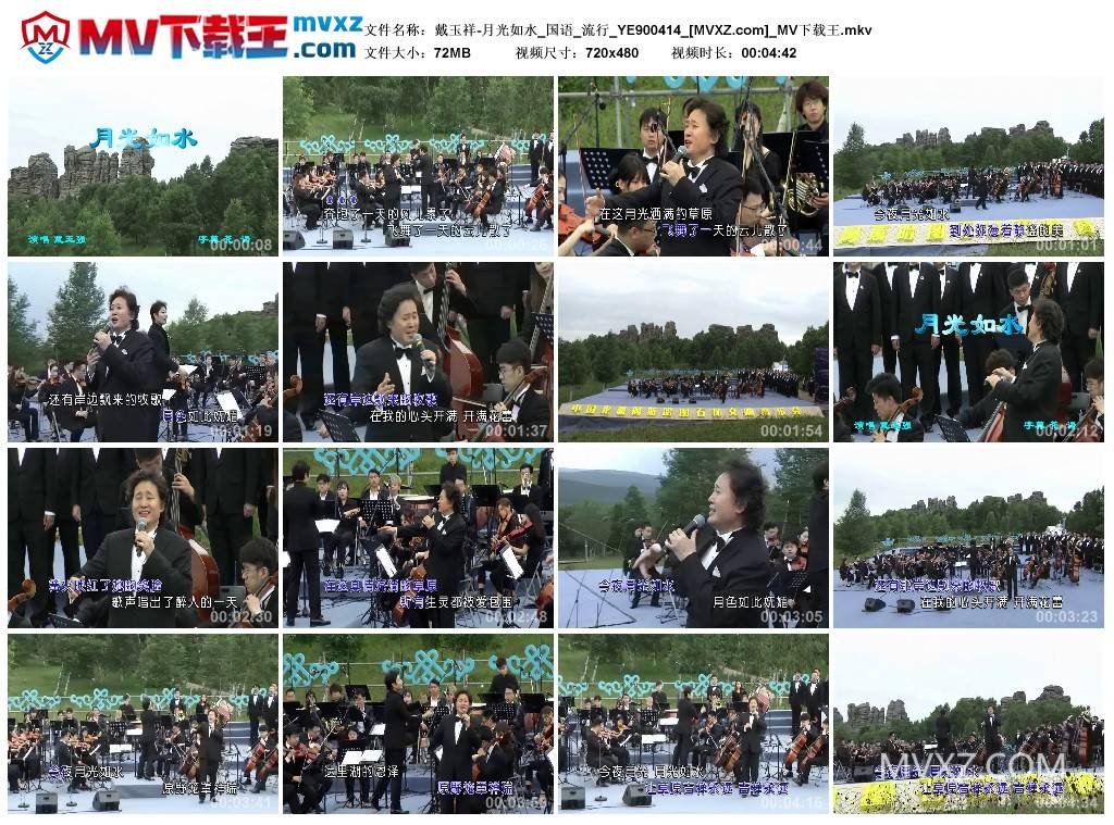 戴玉祥-月光如水_国语_流行_YE900414